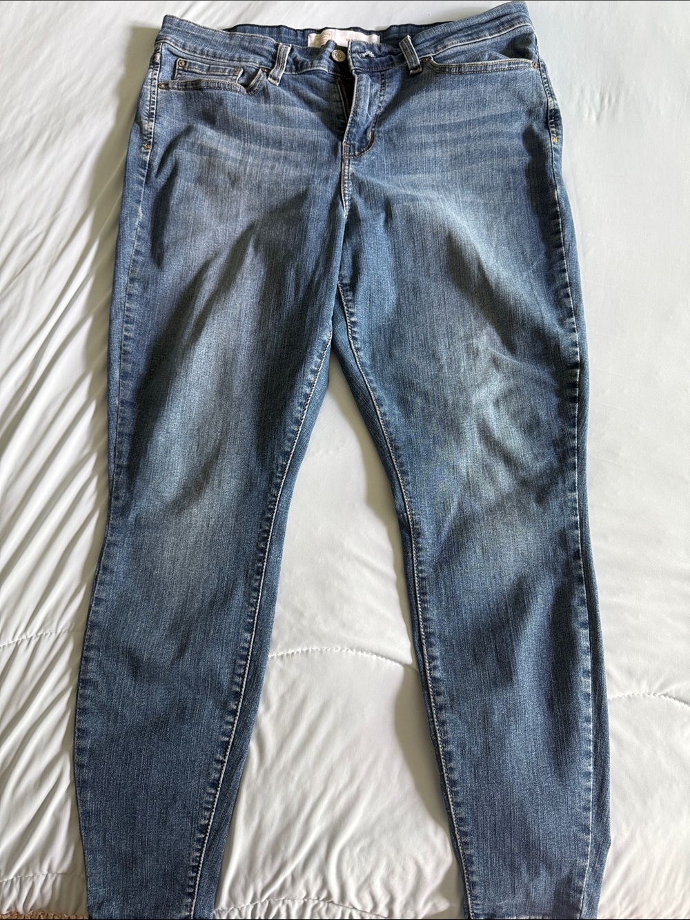 Signature by Levi Strauss Womens Medium Blue Skinny Jeans